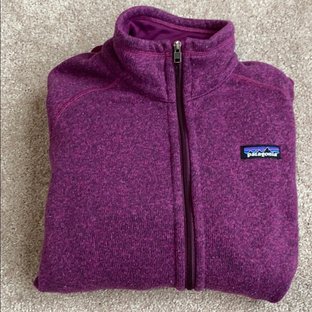 Patagonia Coat